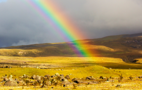 arcobaleno 27 lista